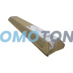 NRG 841599 CIANO TONER - 4000 PAGINE PER AFICIO MP C305SP