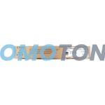 NRG DT3000CYN CYAN TONER - 15000 SEITEN FÜR AFFICIO MP C3000C
