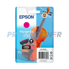 Rank1