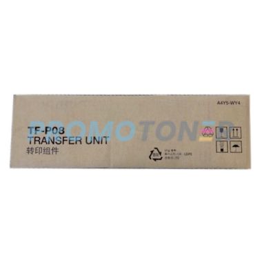 TF-P08