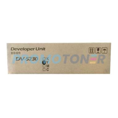 DV-5230Y