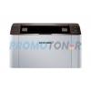 Xpress M2022